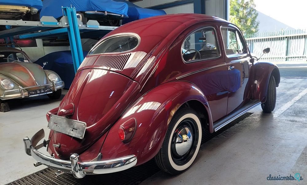 1955' Volkswagen Garbus photo #2