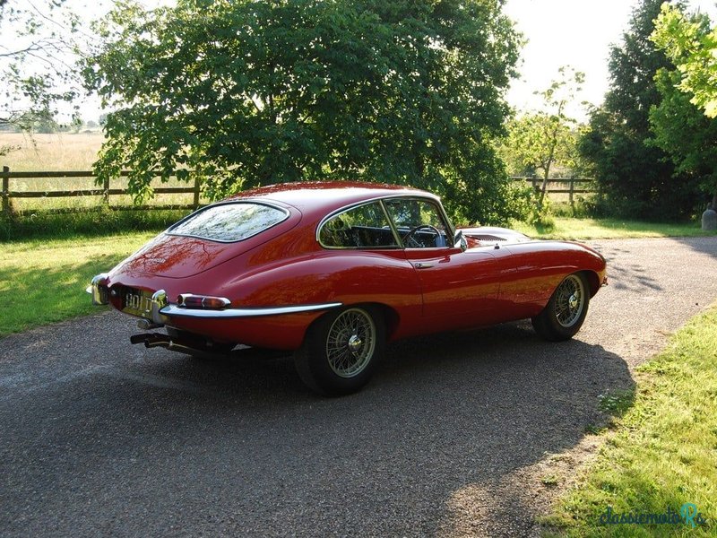 1962' Jaguar E-Type photo #6