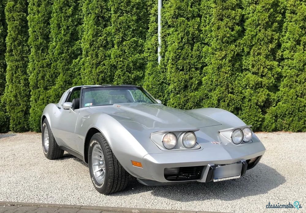 1979' Chevrolet Corvette photo #2