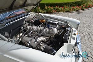 1967' Mercedes-Benz 250 photo #5