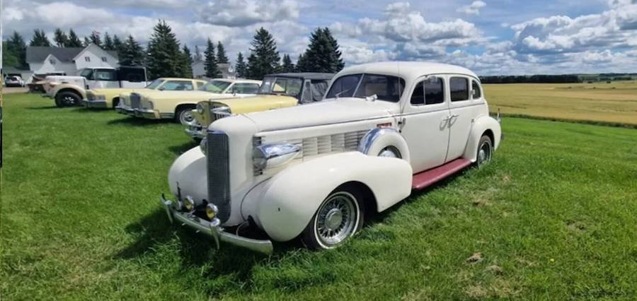 Une collection de 230 voitures anciennes à vendre à Edmonton