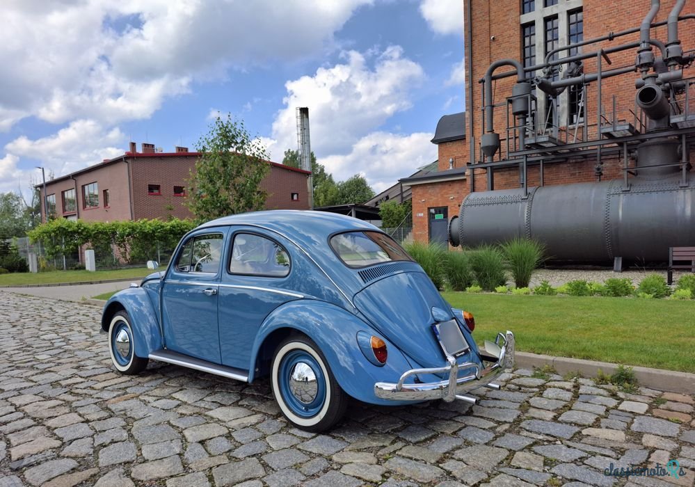 1960' Volkswagen Garbus photo #2