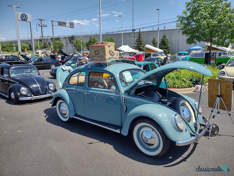 1951' Volkswagen Beetle photo #5