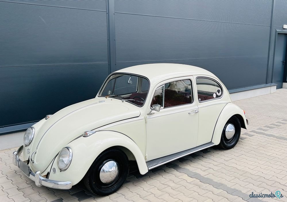 1966' Volkswagen Käfer photo #1