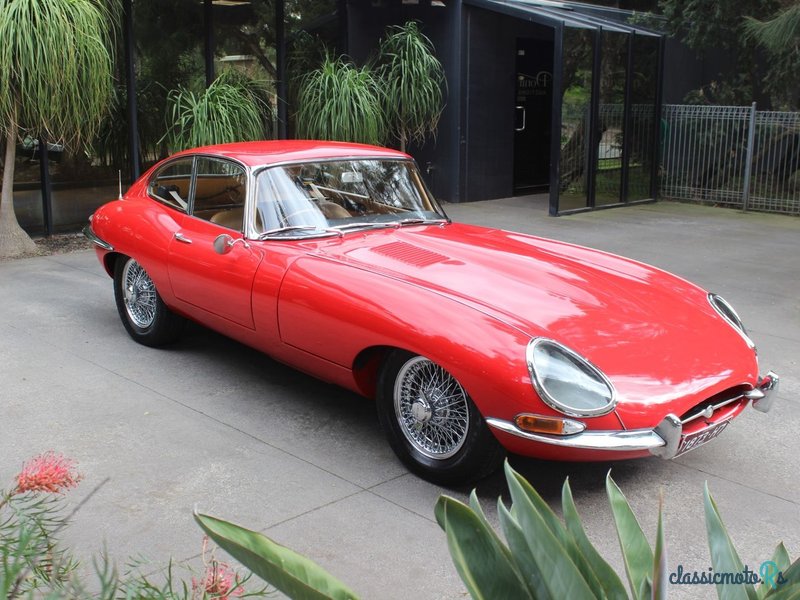 1962' Jaguar E-Type photo #1