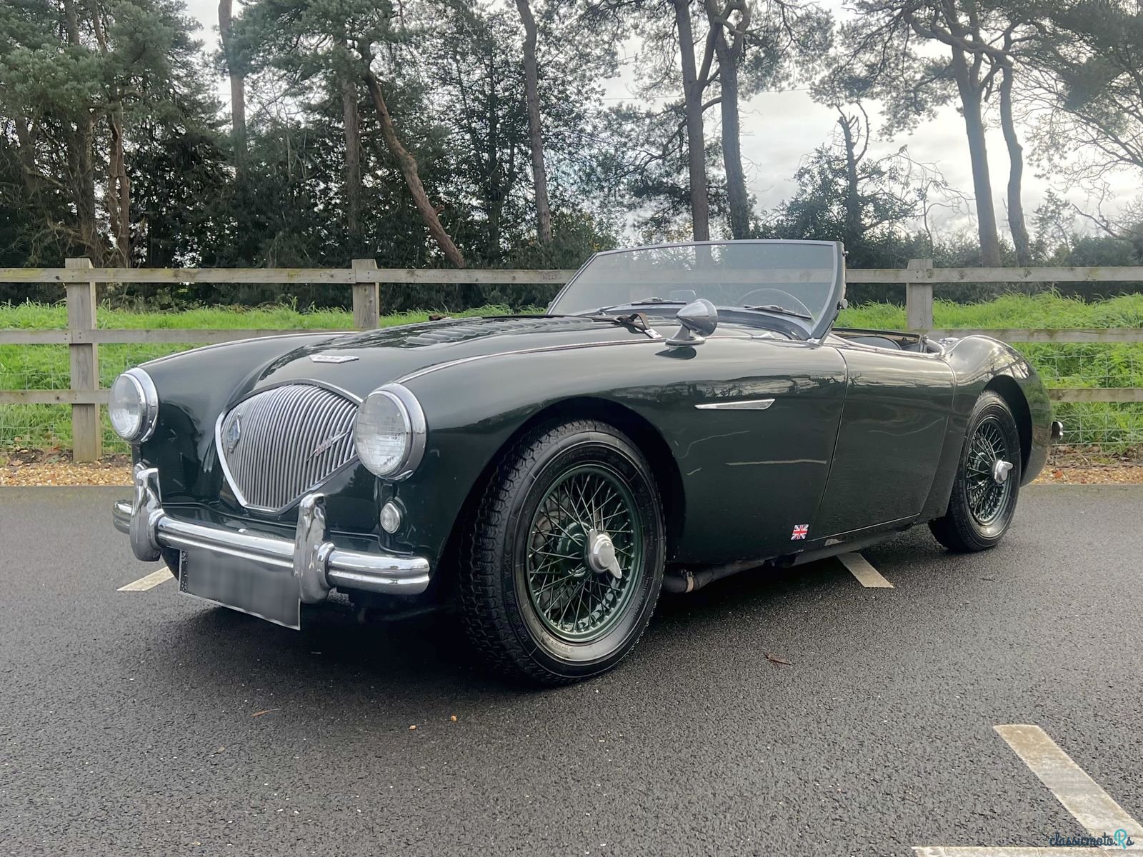 1956' Austin-Healey 100 M photo #2