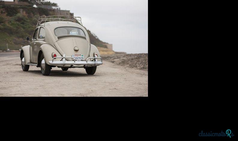 1959' Volkswagen Beetle photo #2