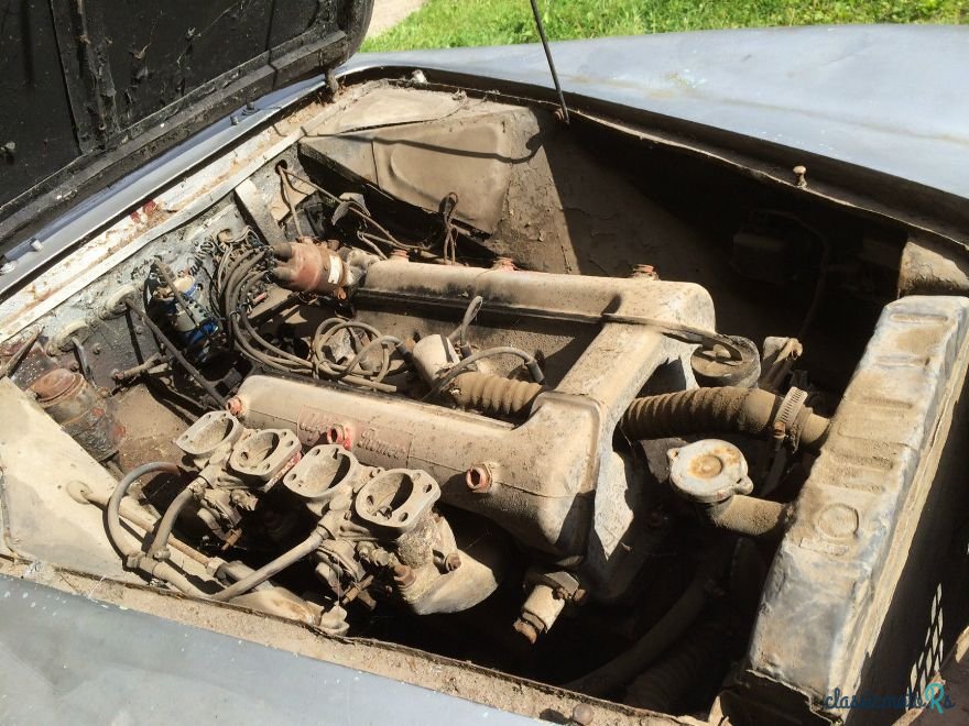 1960' Alfa Romeo 1900 photo #5