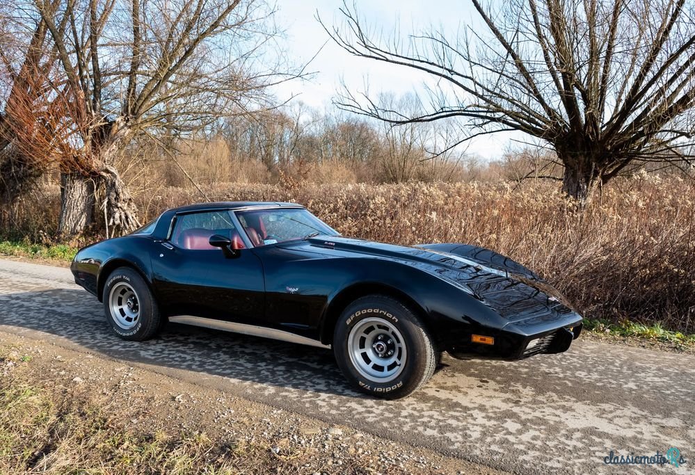 1979' Chevrolet Corvette photo #1
