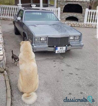 1980' Cadillac Eldorado Biarritz photo #3