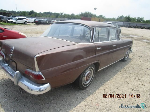 1962' Mercedes-Benz 220SB photo #2