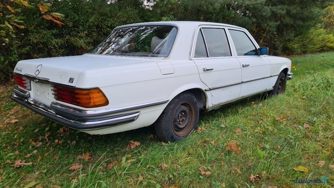 1979' Mercedes-Benz 280 photo #6