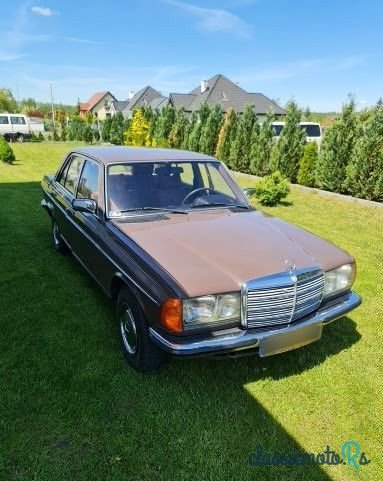 1979' Mercedes-Benz W123 photo #1