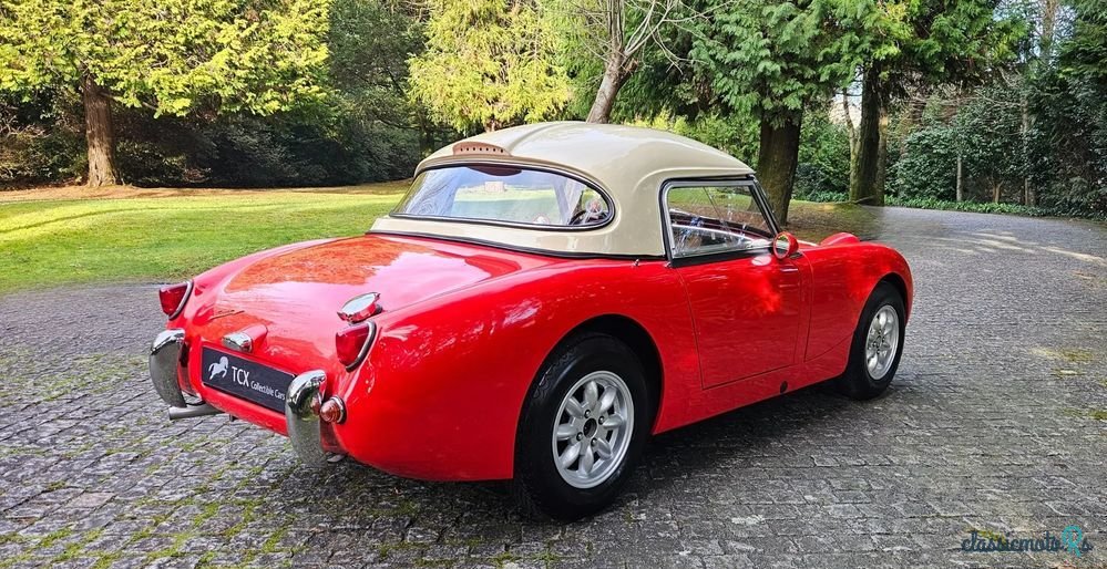 1961' Austin-Healey Sprite Mk I photo #2