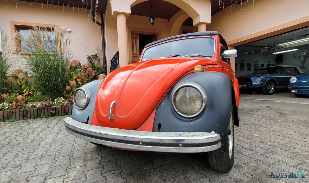 1969' Volkswagen Garbus photo #4