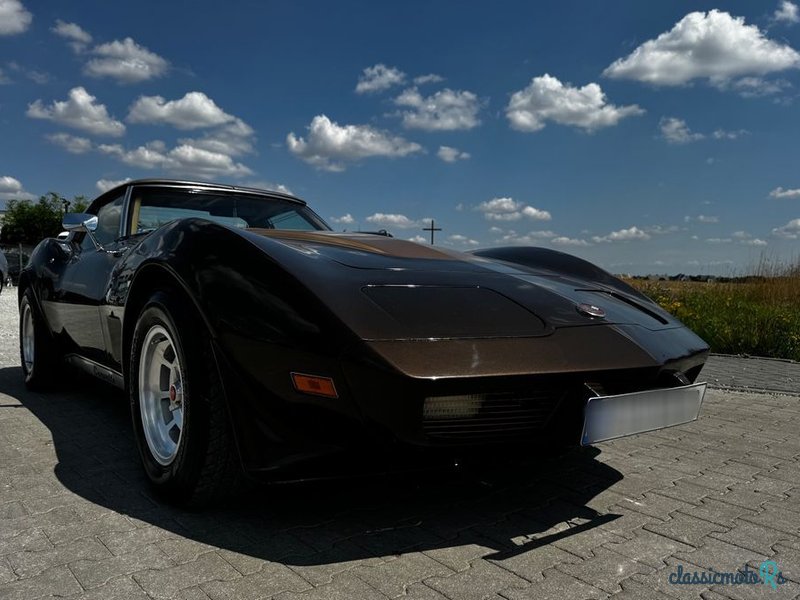 1976' Chevrolet Corvette photo #6