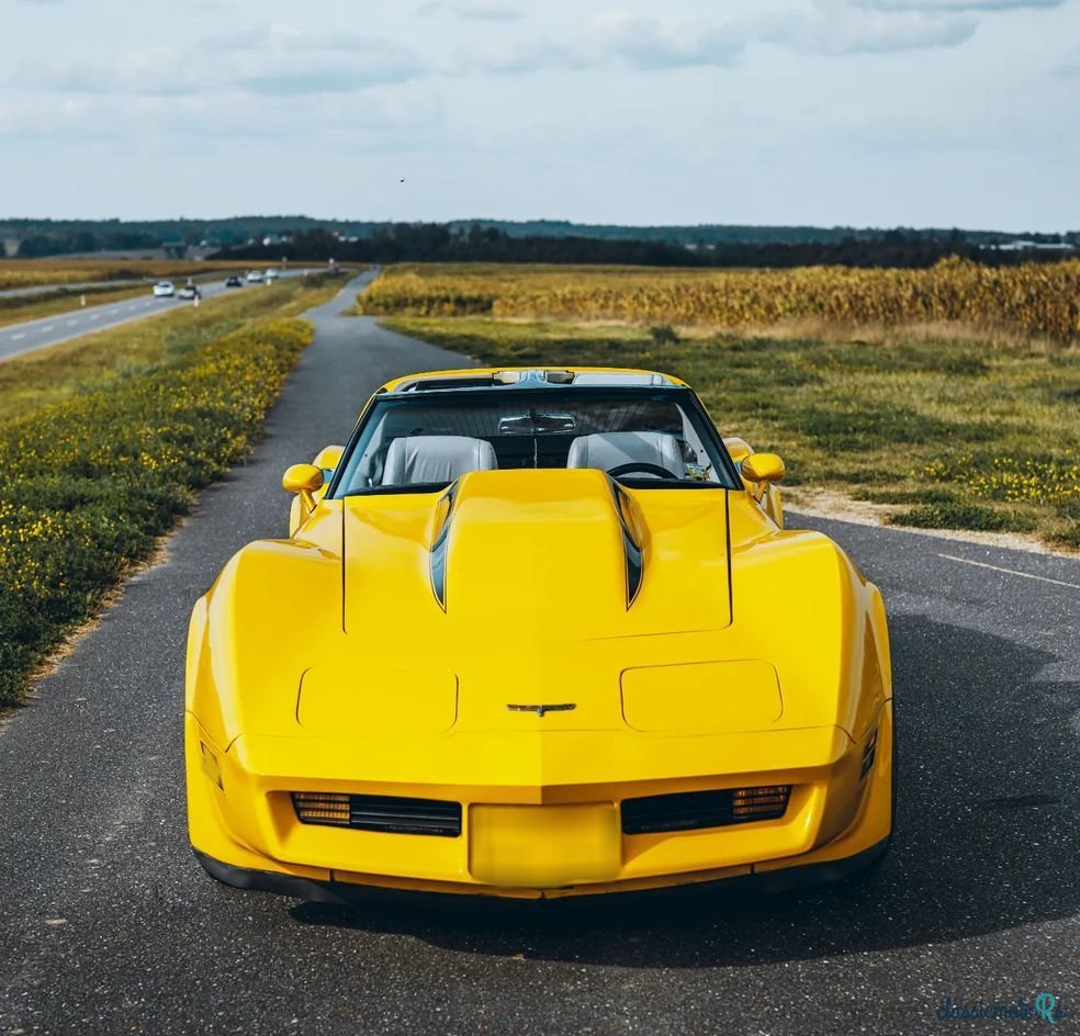 1980' Chevrolet Corvette photo #2