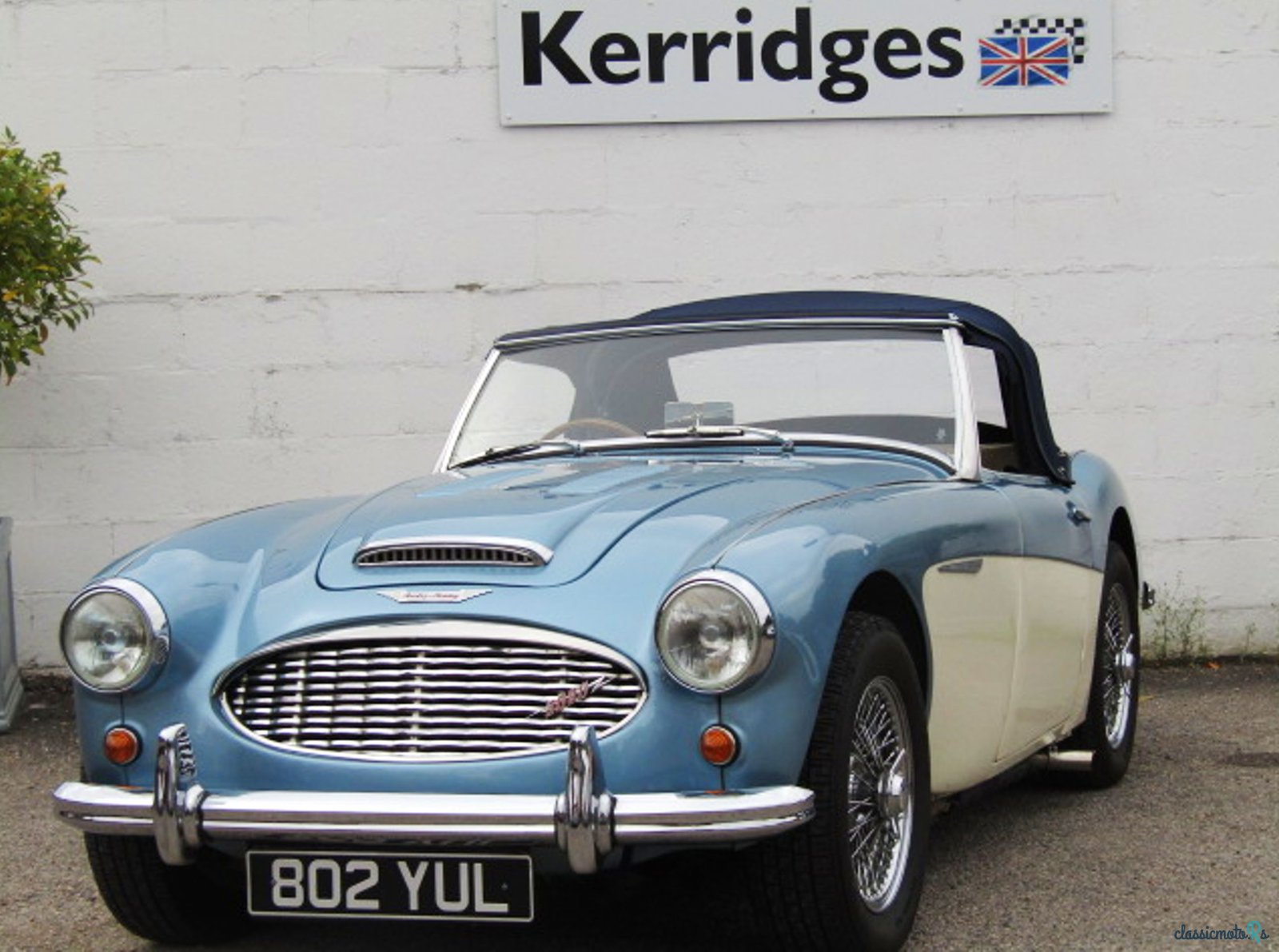 1957' Austin-Healey 100-6 photo #1