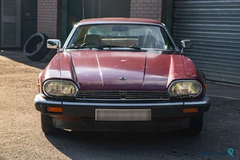 1983' Jaguar XJS photo #6