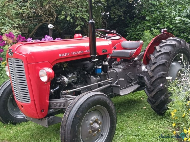 1962' Massey Ferguson KDV397 photo #1