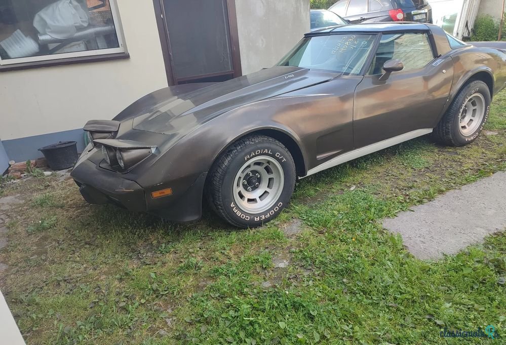1978' Chevrolet Corvette photo #1