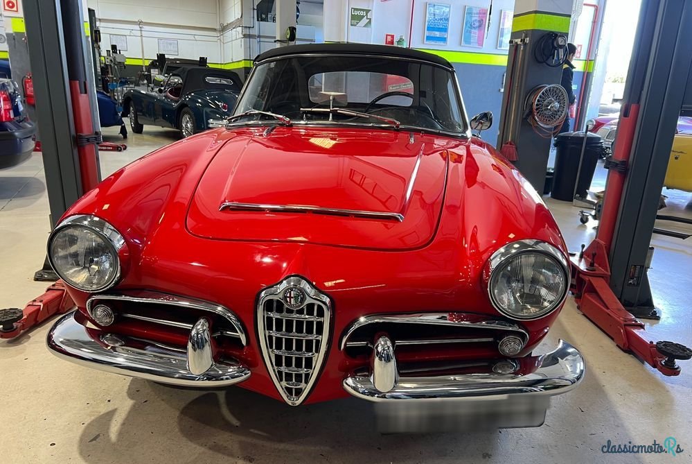 1963' Alfa Romeo Giulia photo #2