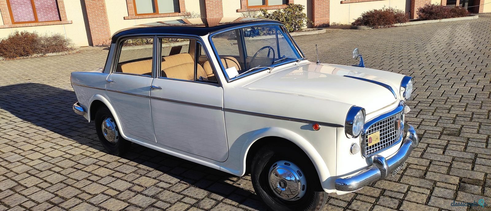 1962' Fiat 1100 photo #1