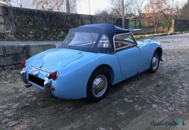 1959' Austin-Healey Sprite photo #3