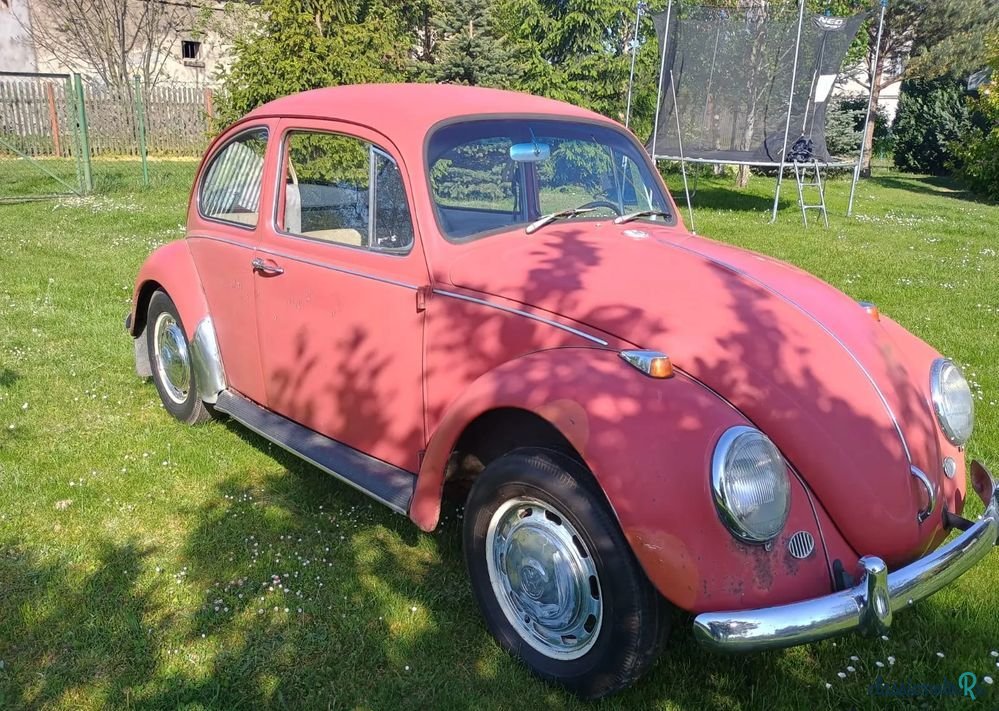 1967' Volkswagen Garbus photo #3