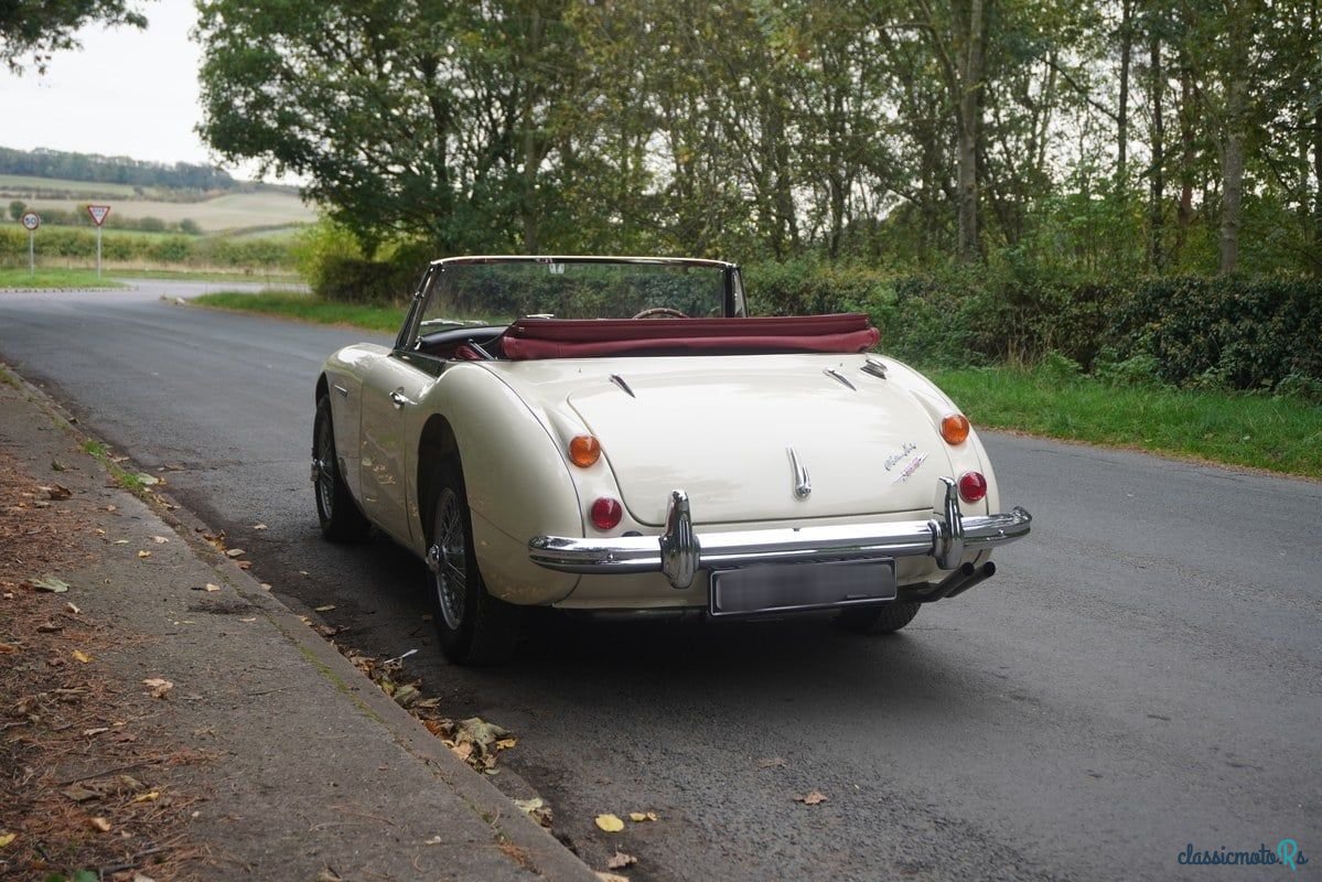 1964' Austin-Healey 3000 photo #3