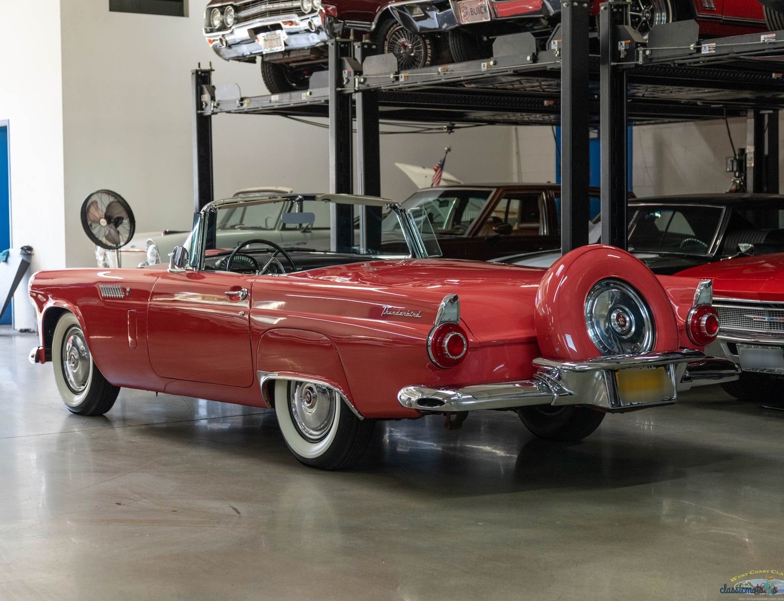 1956' Ford Thunderbird photo #6