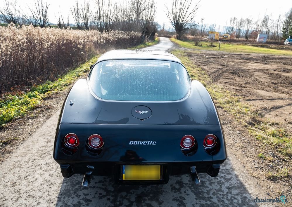 1979' Chevrolet Corvette photo #6