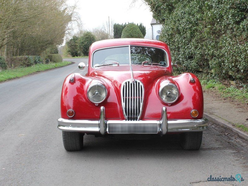 1955' Jaguar Xk140 photo #2