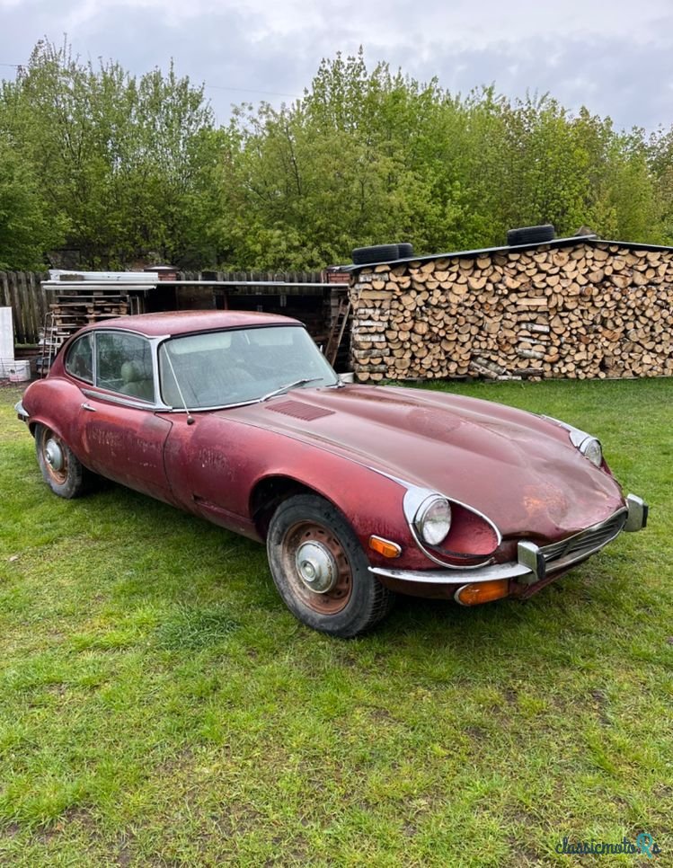 1971' Jaguar E-Type photo #1