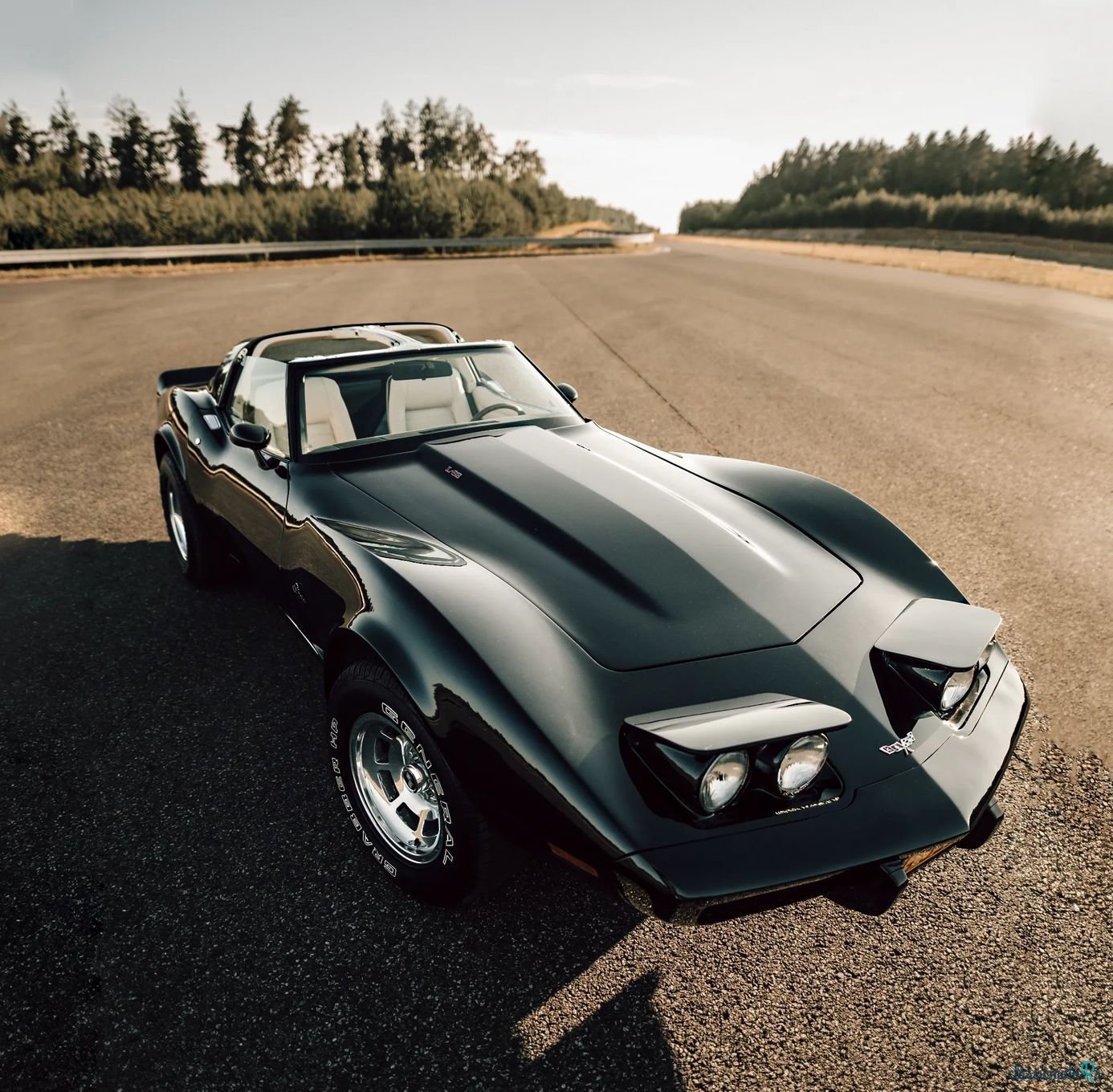 1979' Chevrolet Corvette photo #1