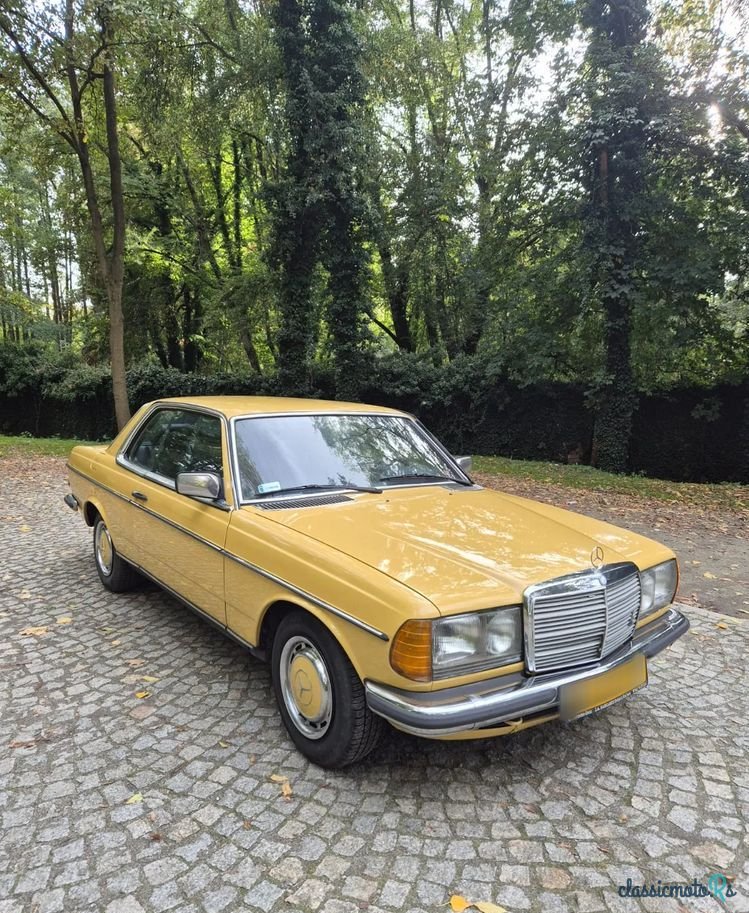 1977' Mercedes-Benz W123 photo #3