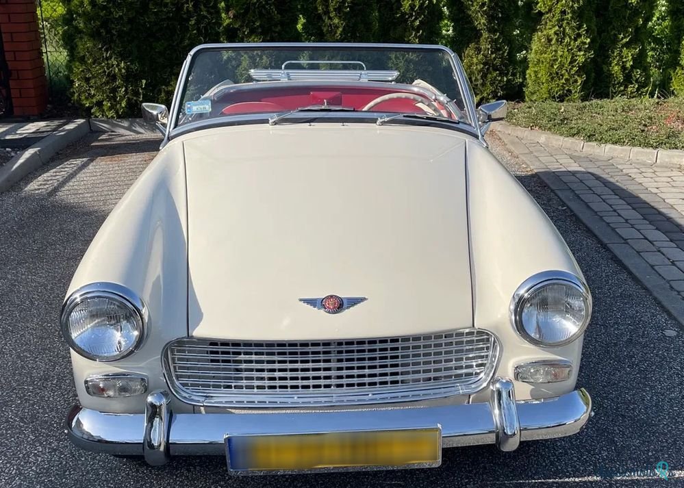 1964' Austin Healey photo #2