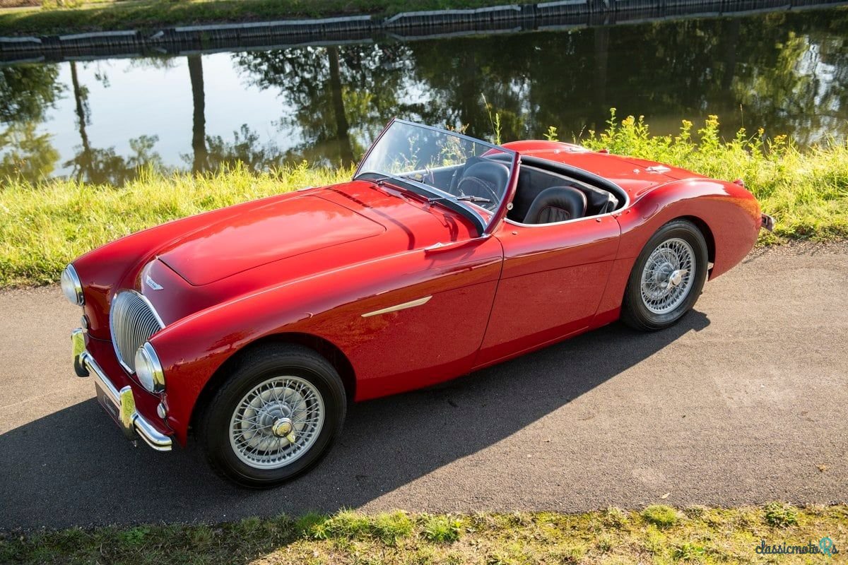 1955' Austin-Healey 100/4 photo #2