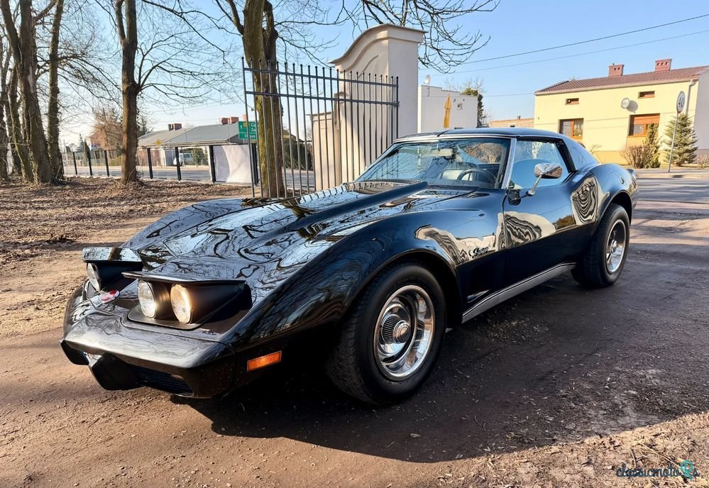 1974' Chevrolet Corvette photo #2