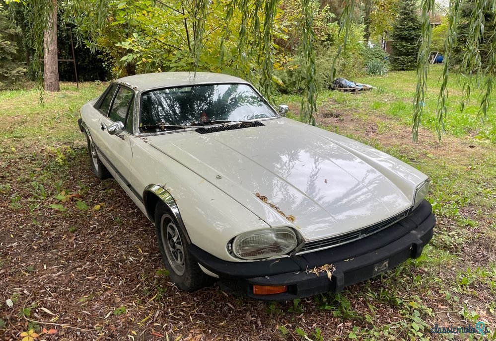 1976' Jaguar XJS photo #4