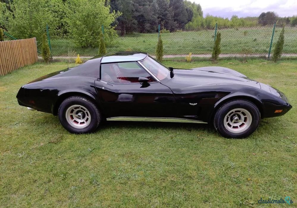 1977' Chevrolet Corvette photo #2