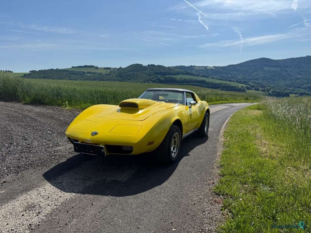1975' Chevrolet Corvette photo #1