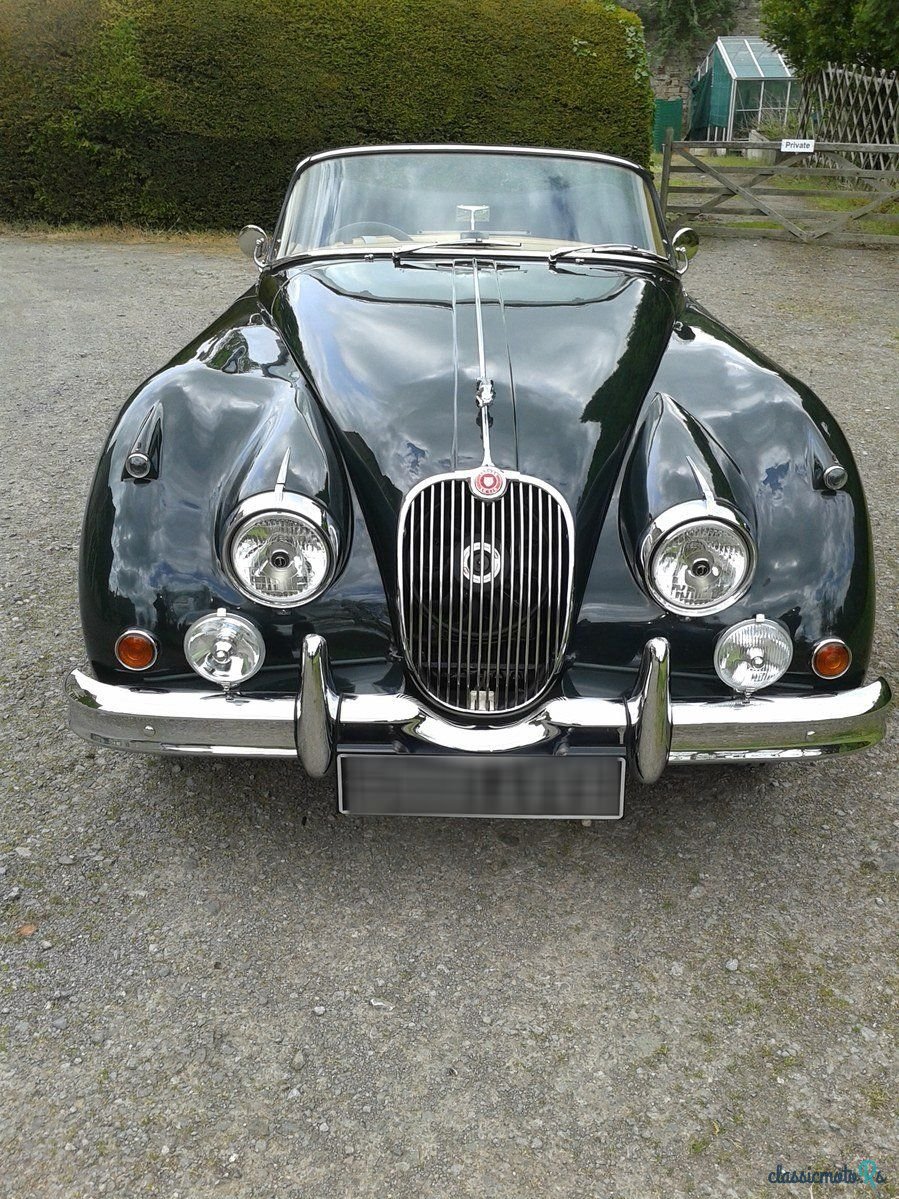 1959' Jaguar Xk150 photo #3