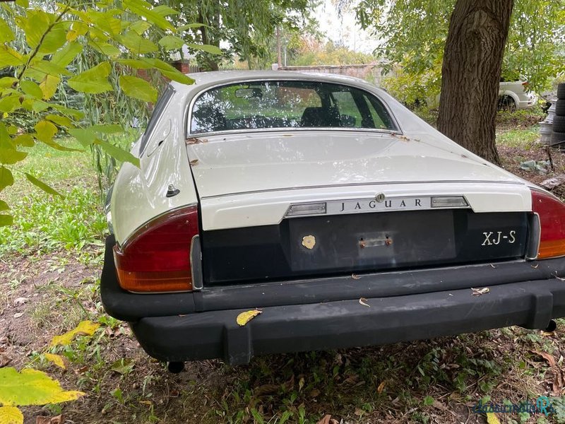 1976' Jaguar XJS photo #2
