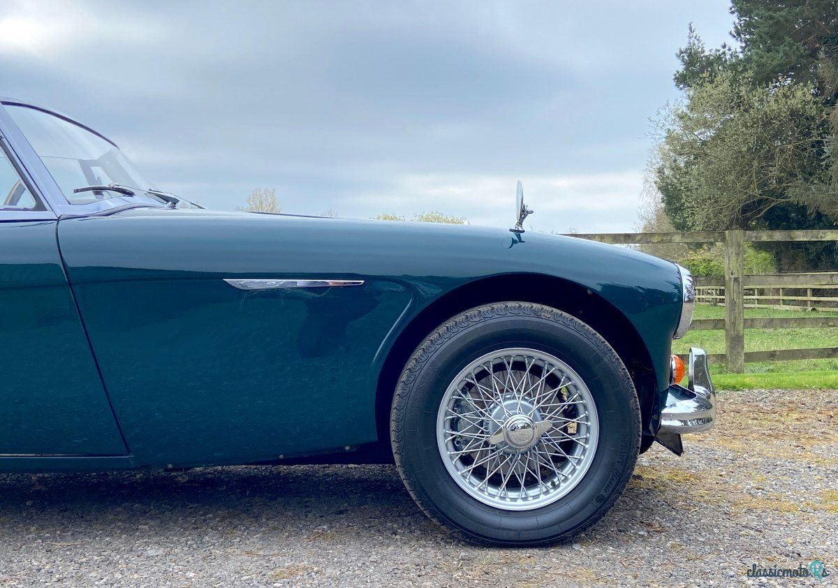 1965' Austin-Healey 3000 photo #5