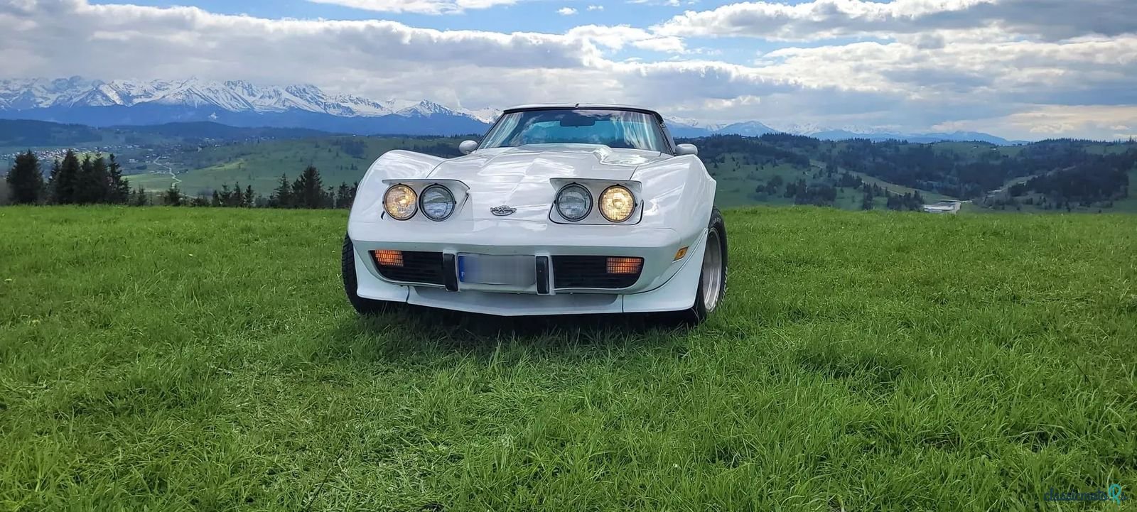 1978' Chevrolet Corvette photo #5