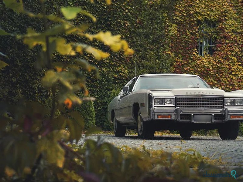 1978' Cadillac Eldorado photo #2