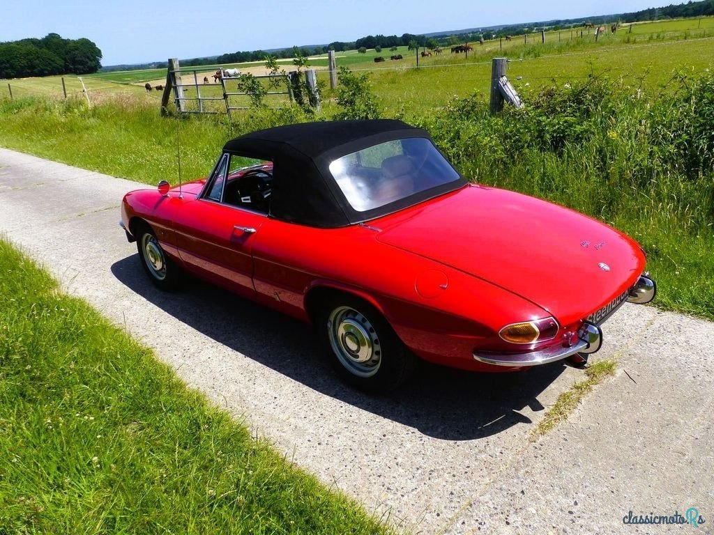 1966' Alfa Romeo Spider (Duetto) photo #4