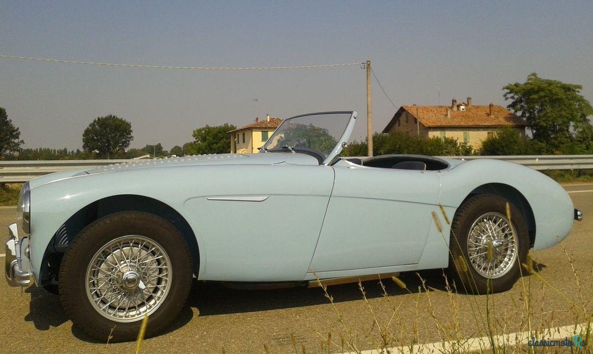 1953' Austin-Healey 100-4 100/4   Bn1 photo #5