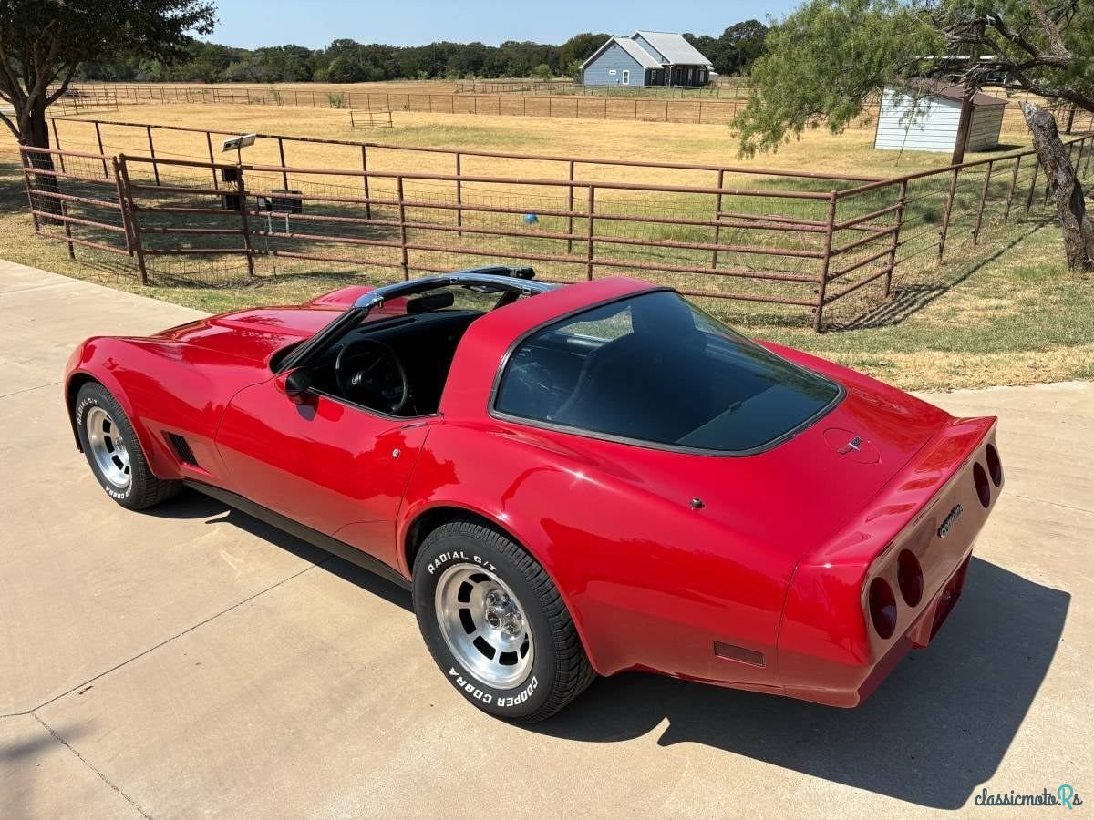 1981' Chevrolet Corvette photo #5